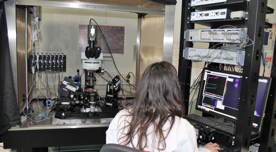 il laboratorio di epilessia sperimentale
